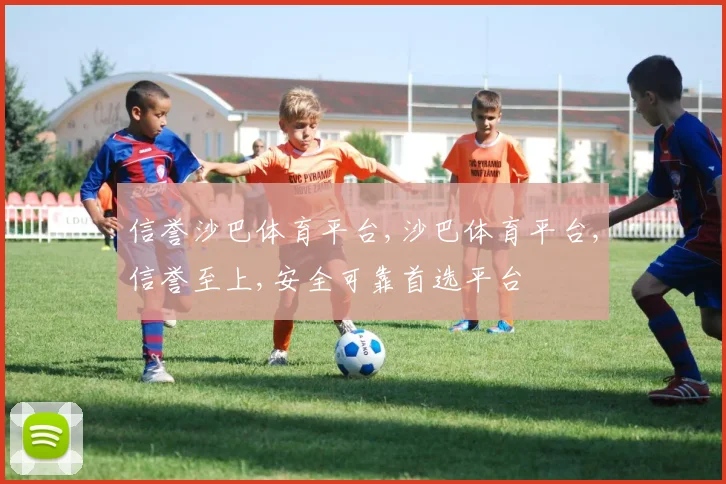信誉沙巴体育平台,沙巴体育平台,信誉至上,安全可靠首选平台