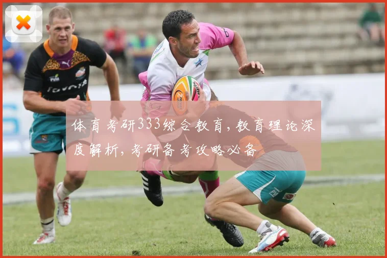 体育考研333综合教育,教育理论深度解析,考研备考攻略必备